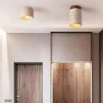 flush-mounted-ceiling-lamp-loanword