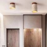 flush-mounted-ceiling-lamp-loanword